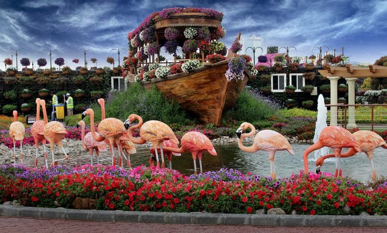 Dubai Miracle Garden