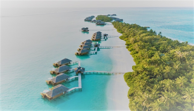 What is the best island resort in the Maldives?